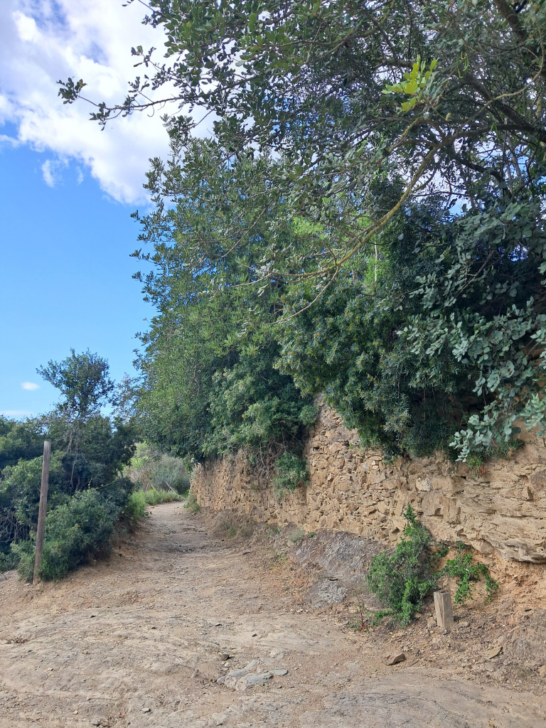 Tram del camí amb paviment de roca i delimitat per marges de pedra seca. 