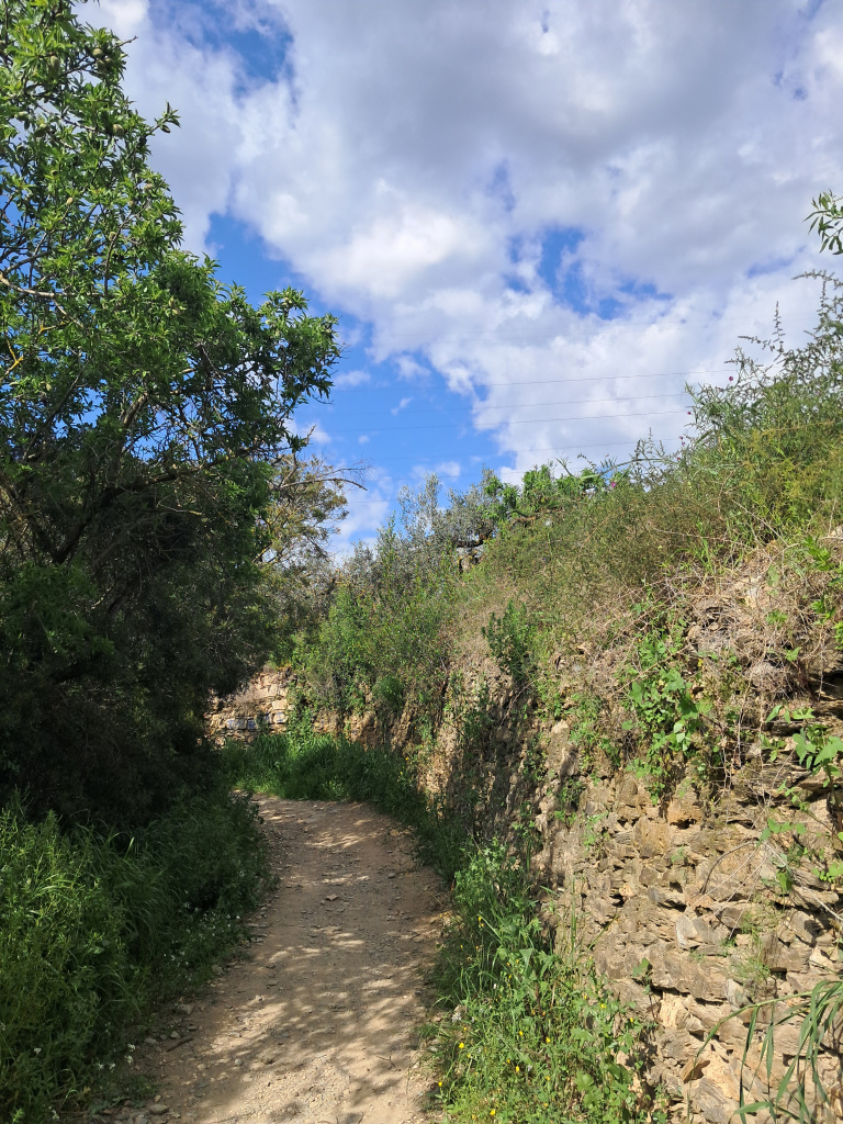 Tram del camí delimitat per marges de pedra seca d'excel·lent factura. 