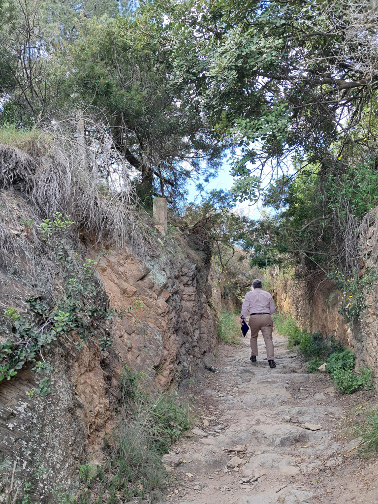 Tram del camí encaixat entre marges de pedra seca i roca. A l'esquerra, sobre el camí, es pot veure la fita de terme de l'any 1833.