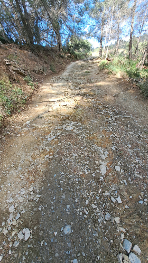 Vista general del camí.
