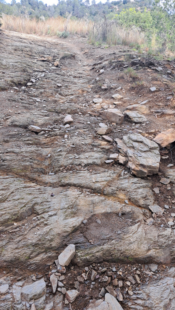 Detall de les rodades a la roca mare.