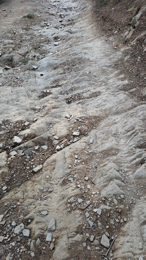 Les petjades del trànsit dels carruatges són encara visibles.