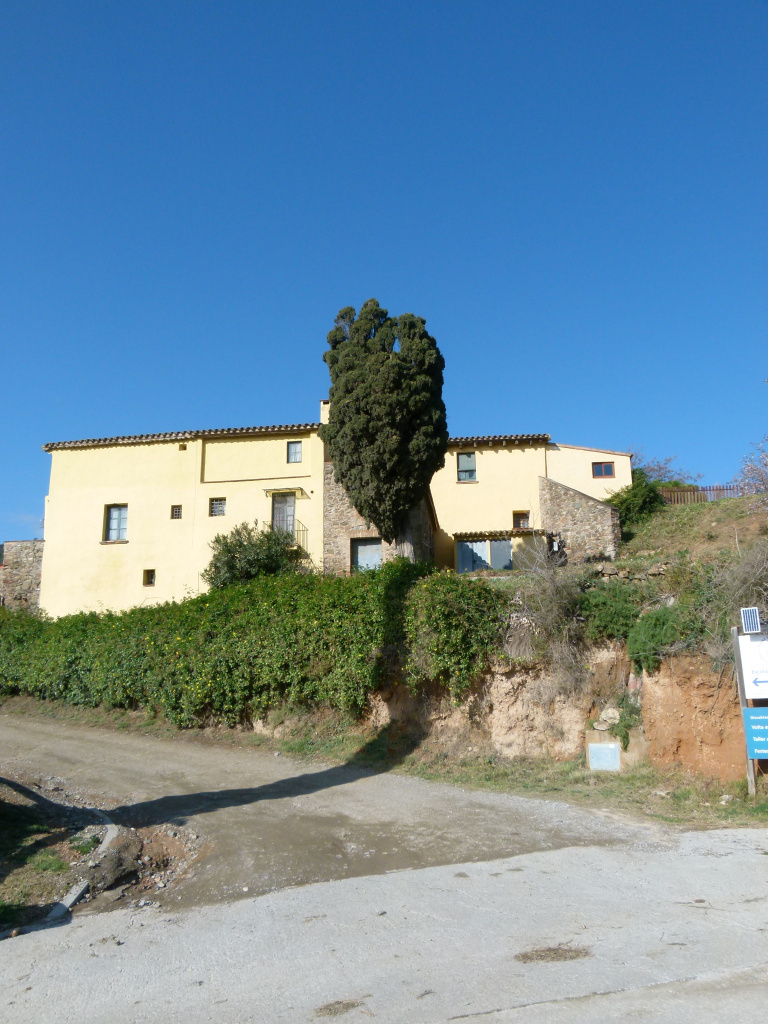 Vista general de l'emplaçament del xiprer a can Vilar de la Muntanya.