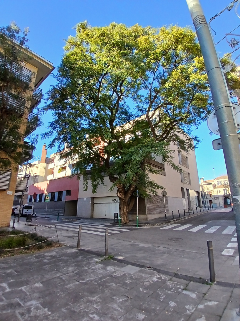 Vista general de l'emplaçament a la cantonada dels carrers Estalvi i de l'Alcalde Arís.