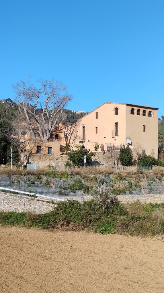 Vista de l'emplaçament del lledoner de can Carbonell.