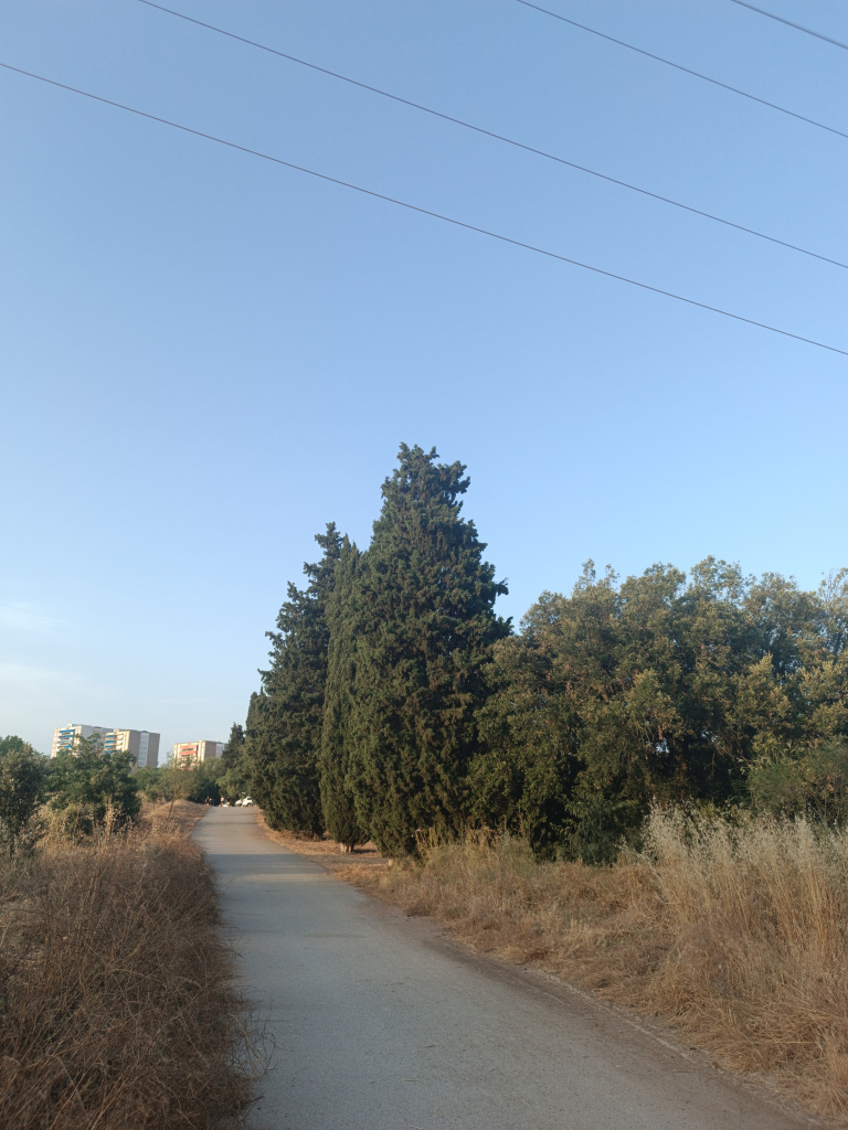 Vista des del camí de Can Poncic