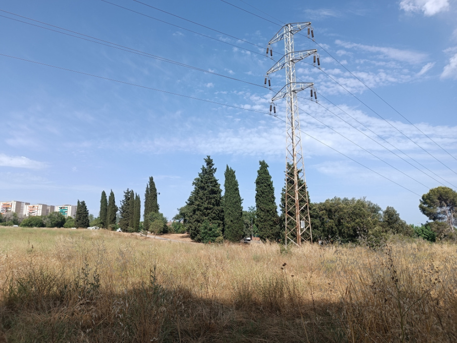 Vista des del camí de Can Poncic
