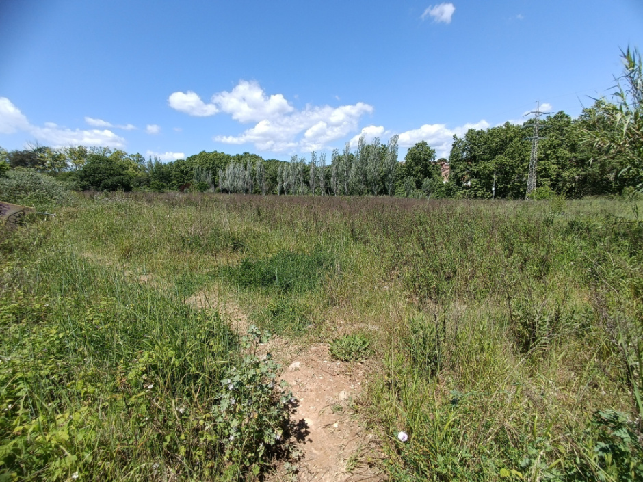 Vista actual del solar on s'ubica el jaciment