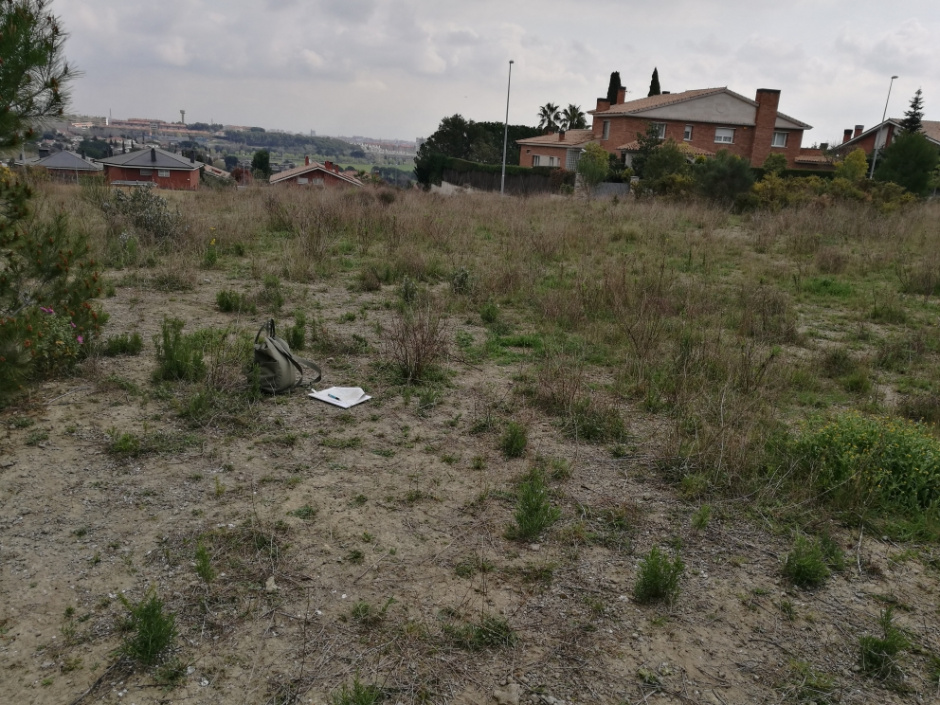 Autor: Albert Vidal. Font: invarque.cultura.gencat.cat