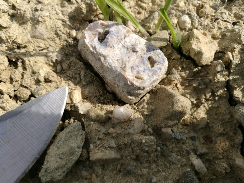 Autor: Albert Vidal. Font: invarque.cultura.gencat.cat