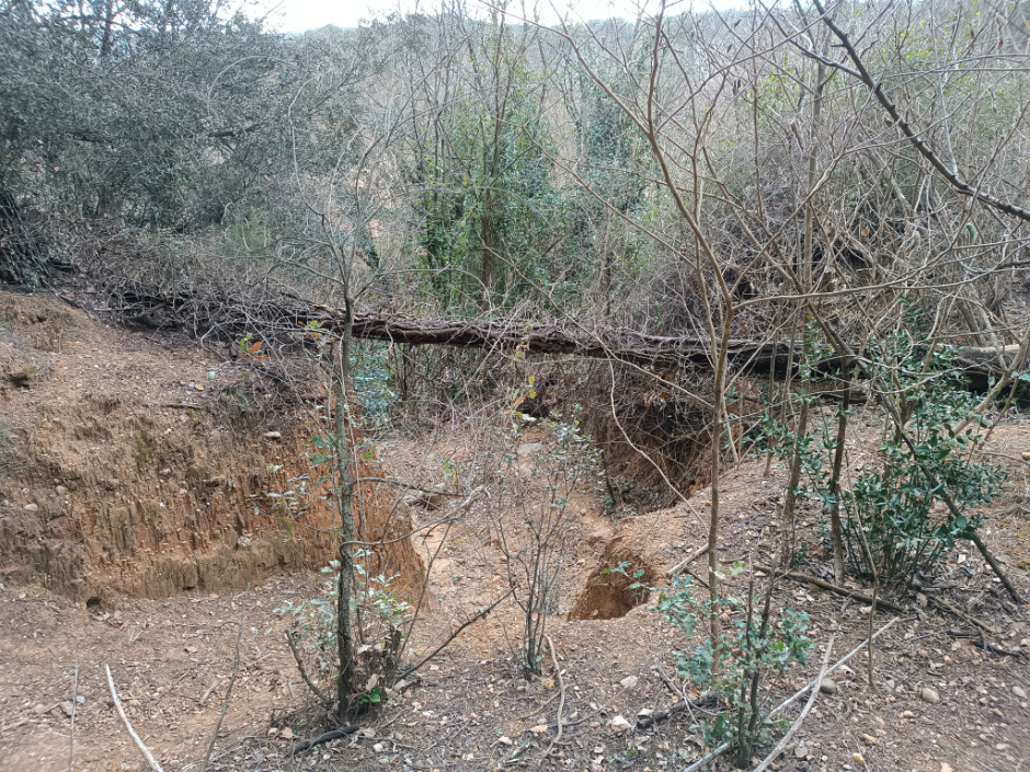 Vista actual del jaciment des de dalt (a nivell de carrer).