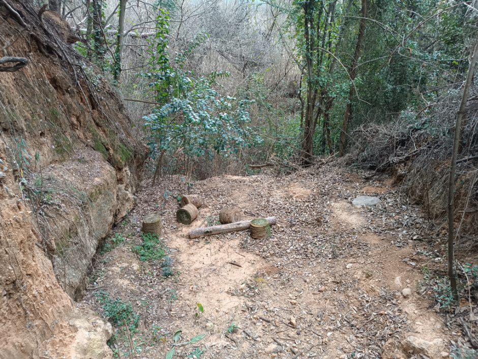 Vista general del jaciment. A l'esquerra, el talús on hi havia la llosa de pedra que configurava la balma.