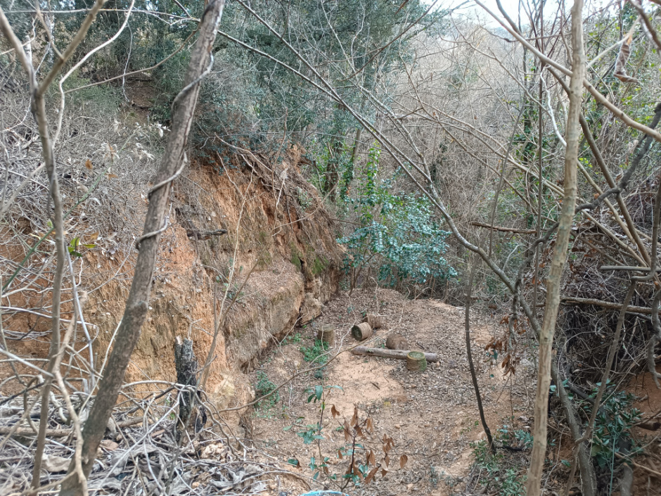 Vista actual del jaciment des de dalt (a nivell de carrer).
