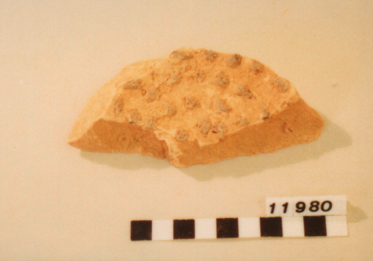 Museu d'Història de Sabadell