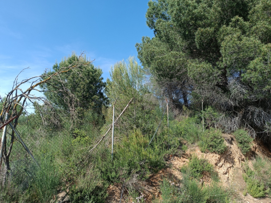 Àrea vallada on s'ubica el jaciment