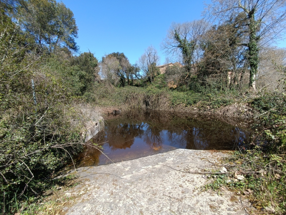 Bassa de Can Vinyals