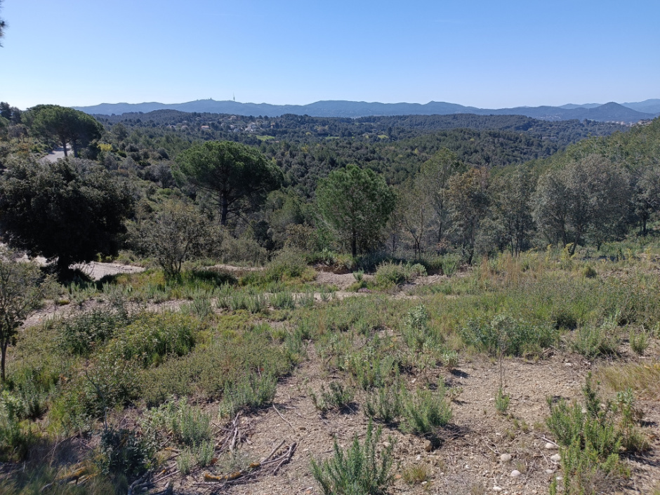 Trinxera C vista des del nord