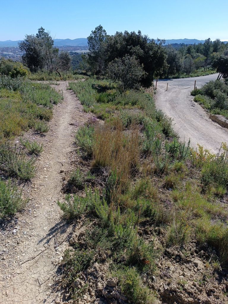 Trinxera C vista des de l'extrem oest