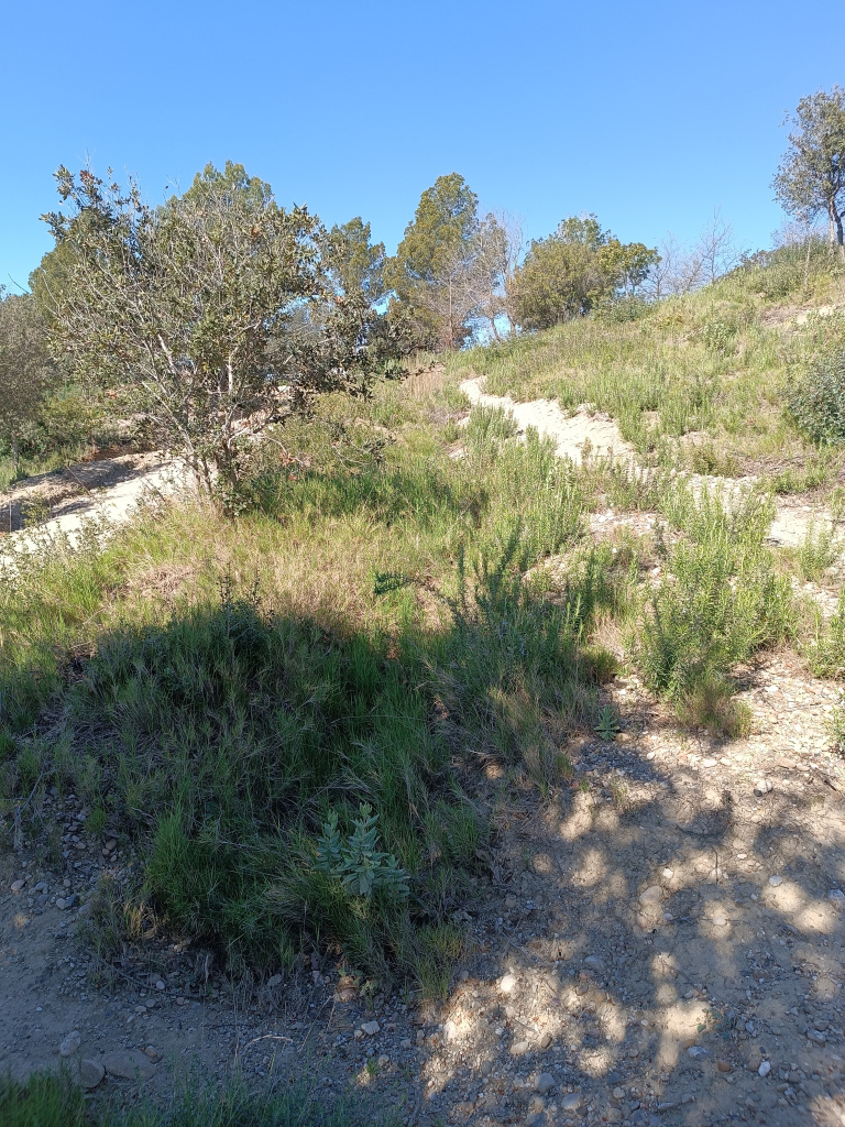 Trinxera C vista des de l'extrem est