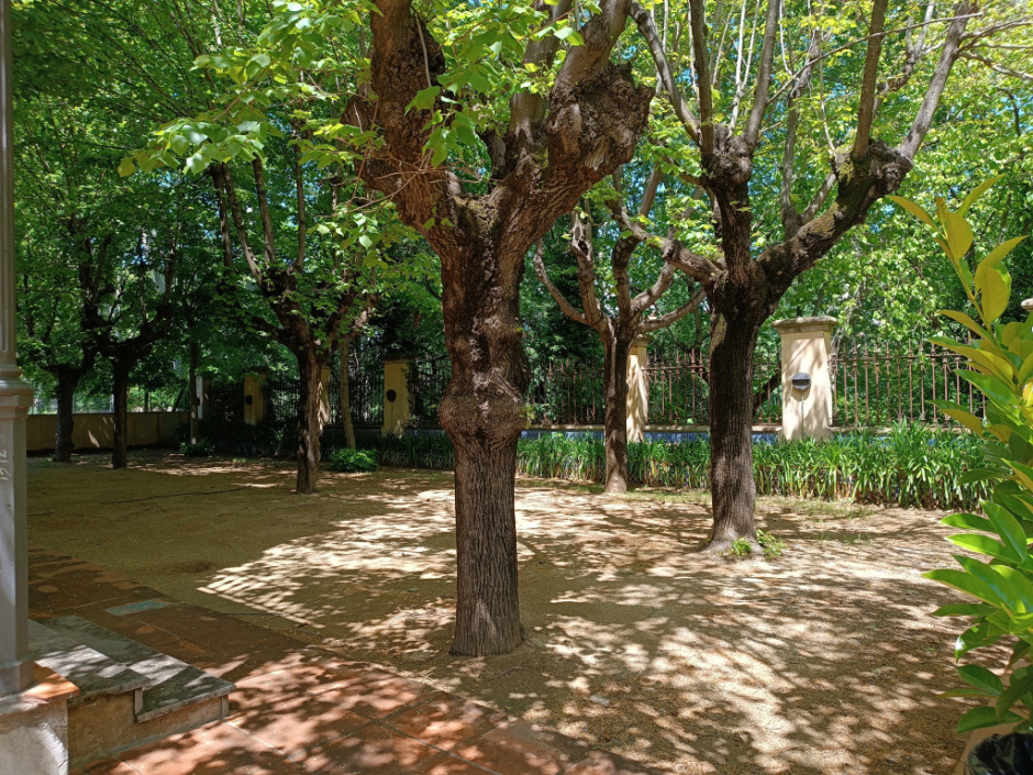 Zona arbrada situada a un lateral de la torre 