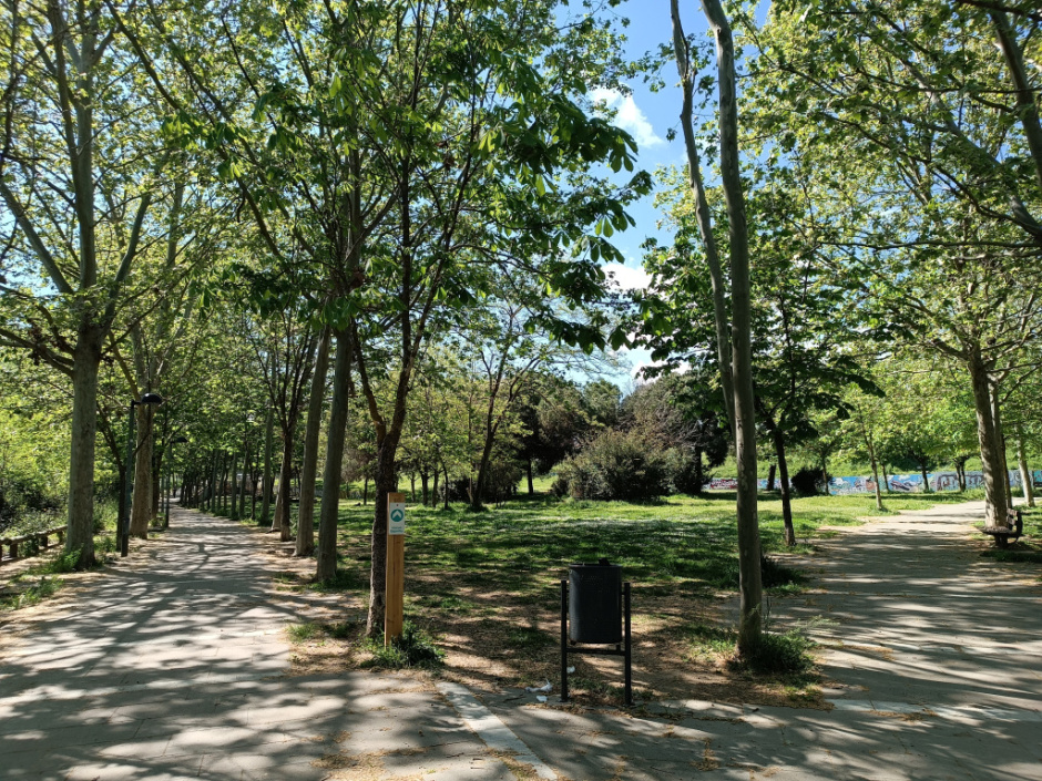 Encreuament de dos dels camins que travessen el parc