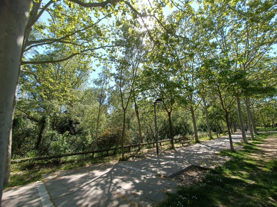 Camí peatonal que recorre paral·lel a la riera
