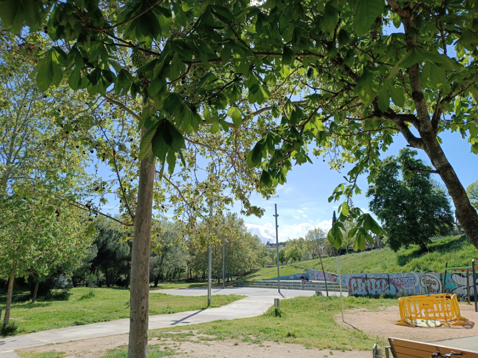 Zona de l'amfiteatre