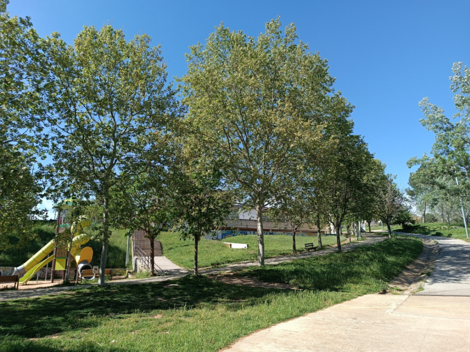 A l'esquerra de la imatge el parc infantil; a la dreta, el camí que accedeix al parc des de la biblioteca municipal
