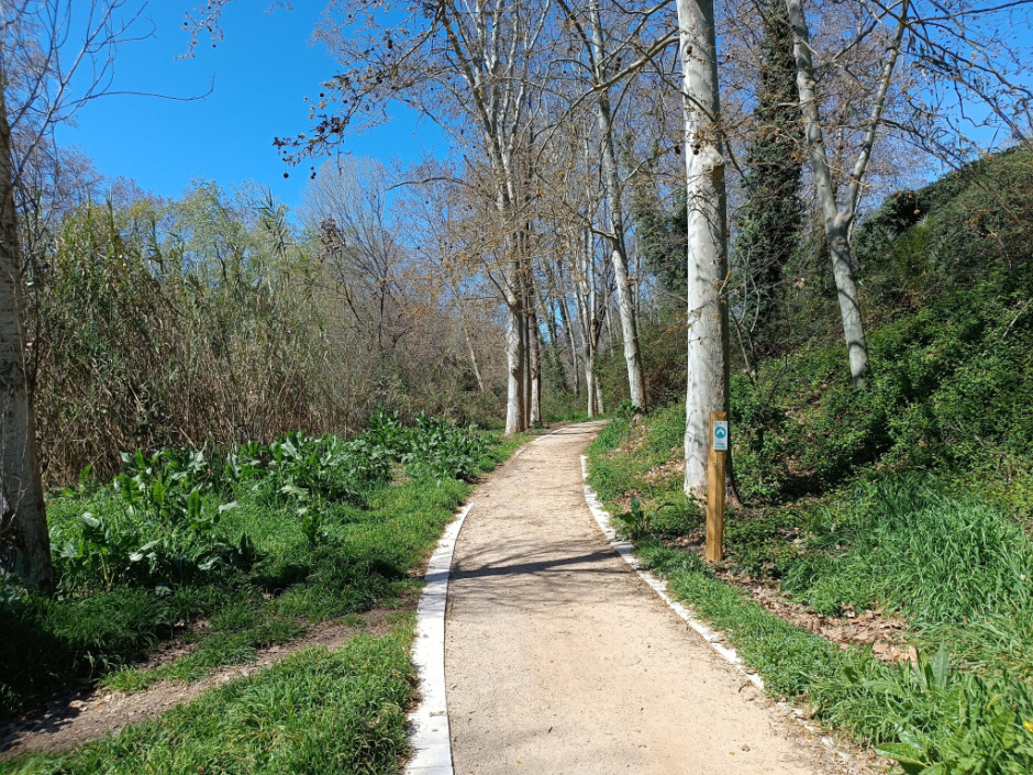 Camí del circuit esportiu