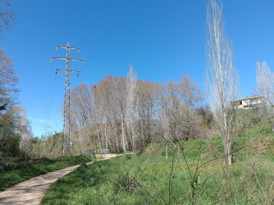Vista general del parc on s'observa la presència d'una torre d'alta tensió i cablejat elèctric 