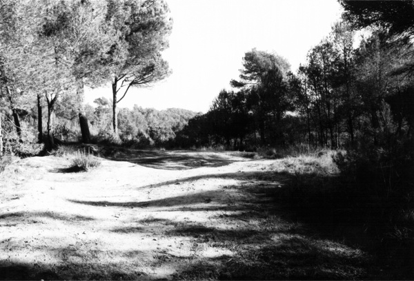 Font: Sergi Colomer (calaix.gencat.cat)