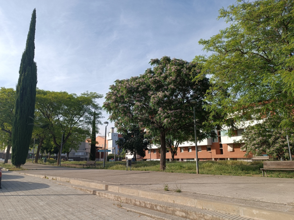 Zona de l'antic cementiri, indret aproximat on consta que es van localitzar les restes paleontològiques.
