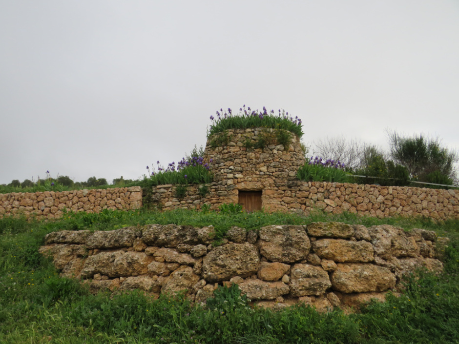 Barraca de pedra seca del Serral d’en Fontanals (n.1)