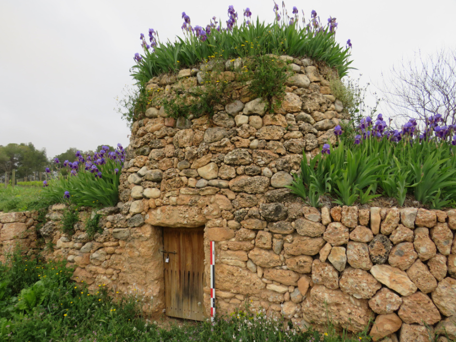 Barraca de pedra seca del Serral d’en Fontanals (n.1)