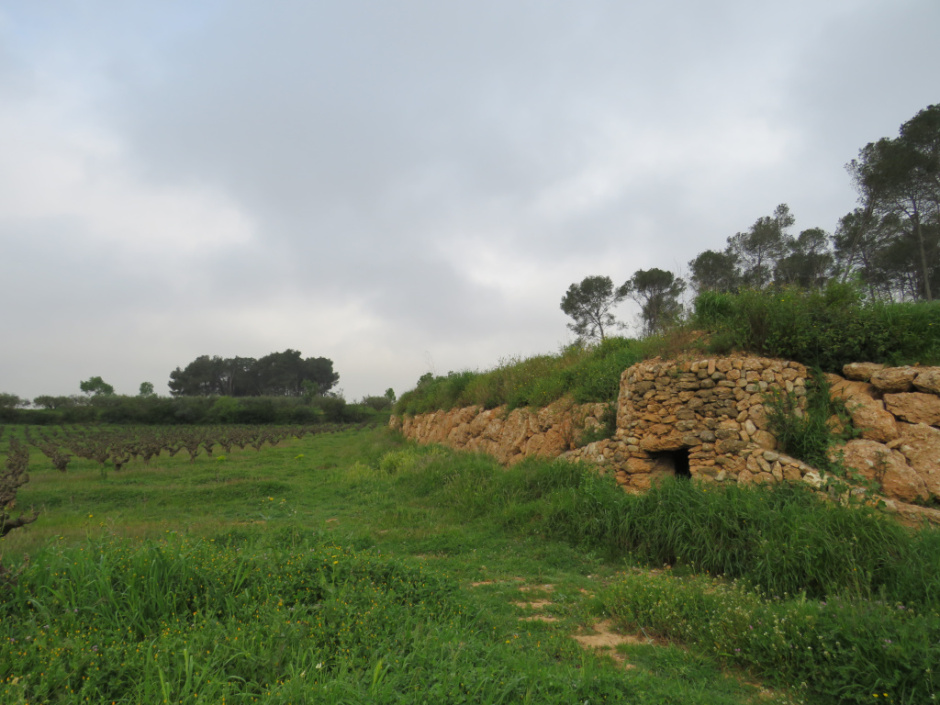 Barraca de pedra seca de Les Serres (n.4)