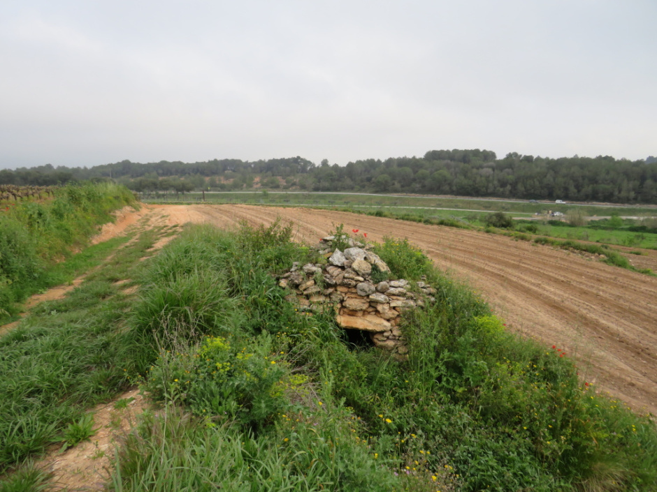 Barraca de pedra seca de Les Serres (n.5)