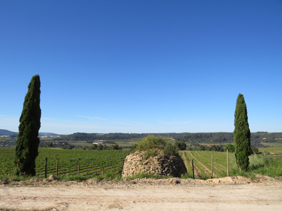Barraca de pedra seca de les Boïgues (n.9)