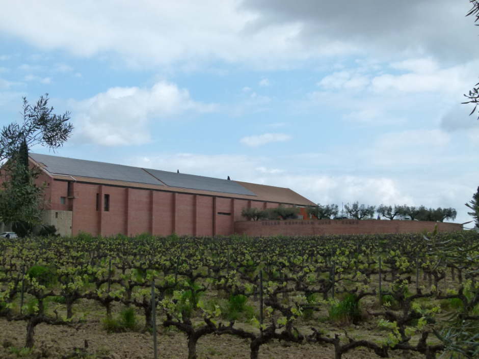 Celler d'Espiells (Juve & Camps)
