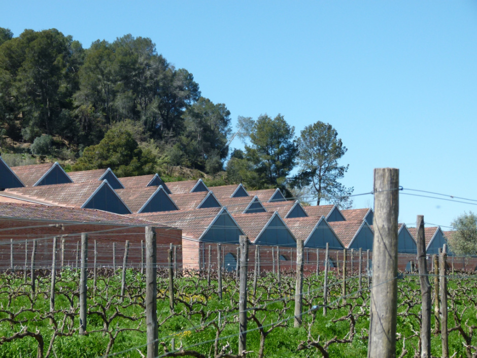Caves Josep M. Raventós i Blanch 