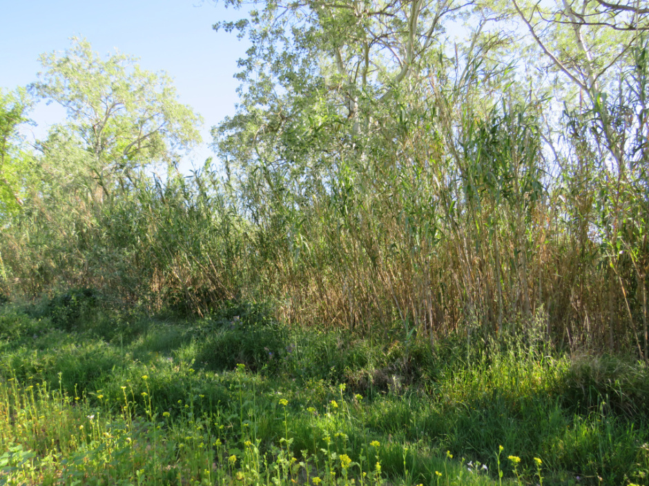 Jaciment paleontològic de Monistrol