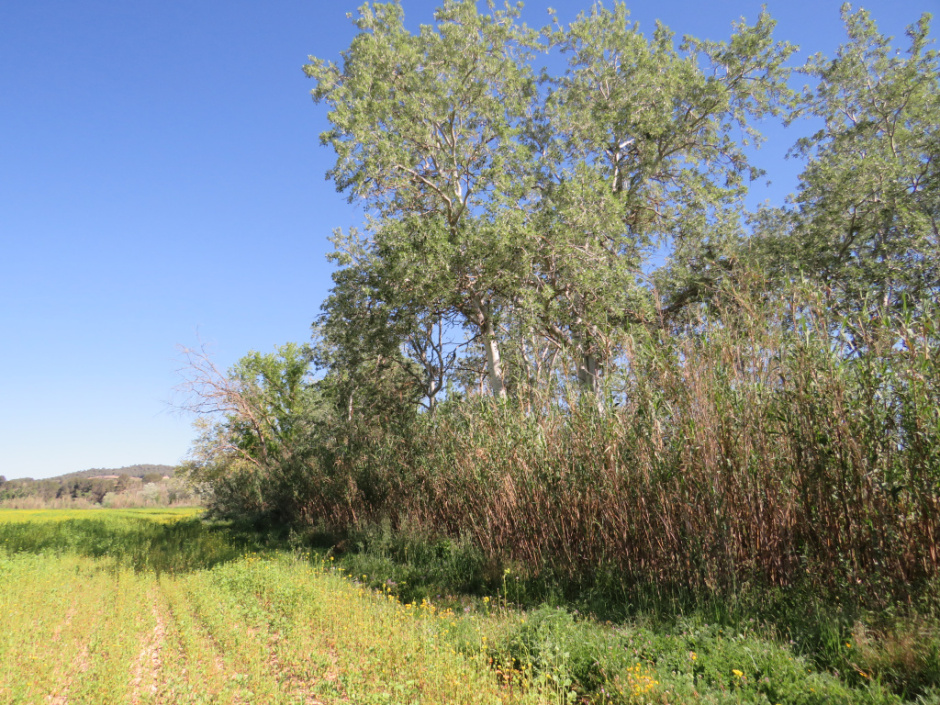 Jaciment paleontològic de Monistrol