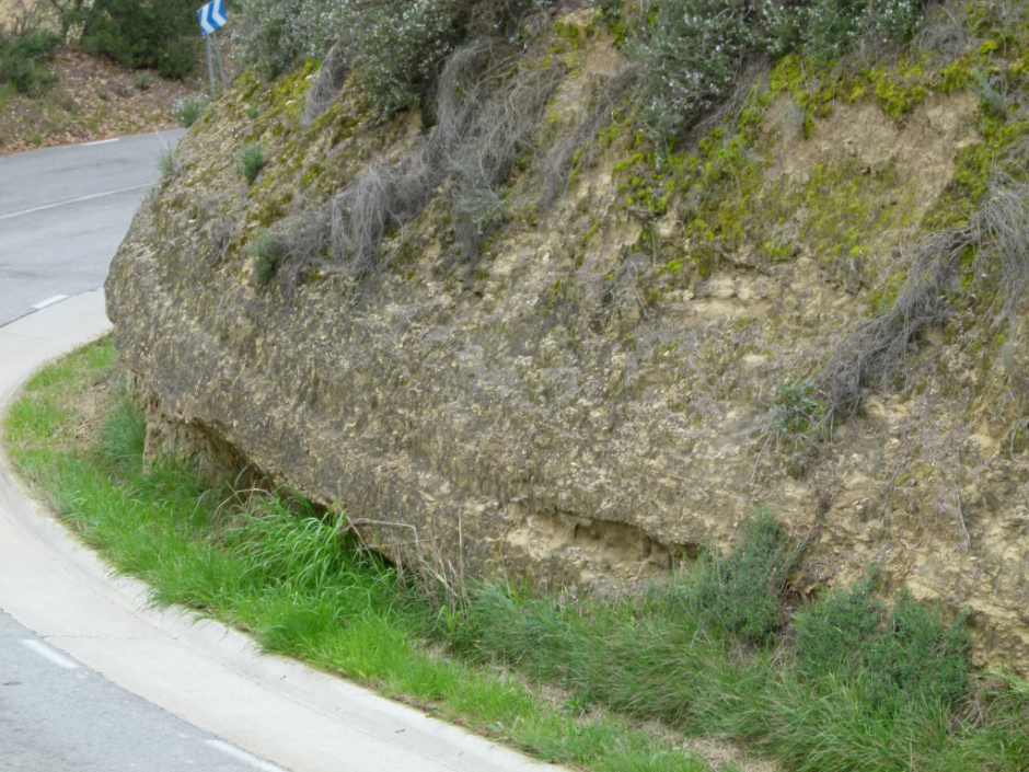 Jaciment paleontològic de lumaquel·les de Sant Sadurní d’Anoia