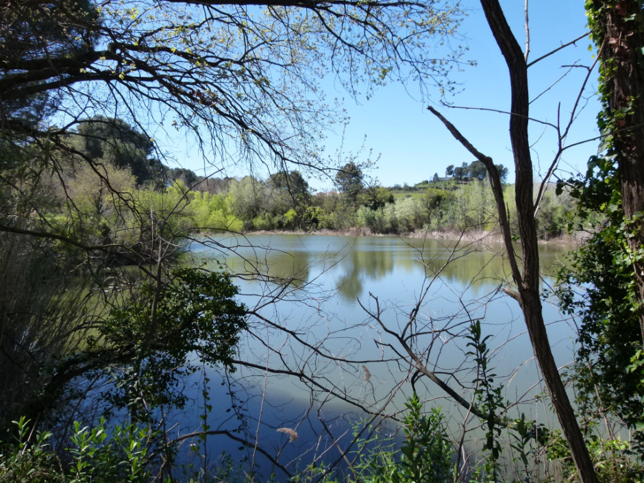  Llac de Codorniu / Llac de Raventós i Blanch