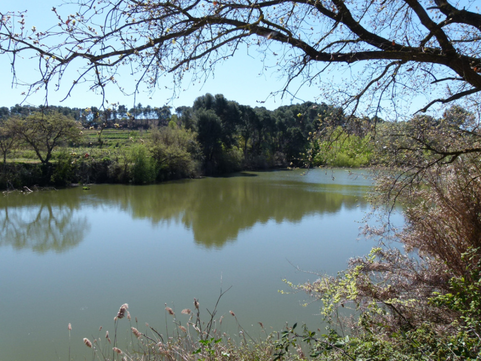  Llac de Codorniu / Llac de Raventós i Blanch
