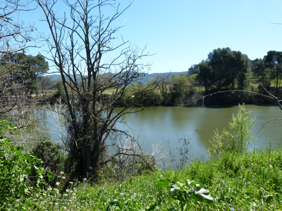  Llac de Codorniu / Llac de Raventós i Blanch