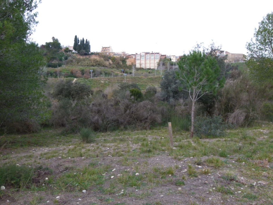 Riera de Lavernó - La Timba