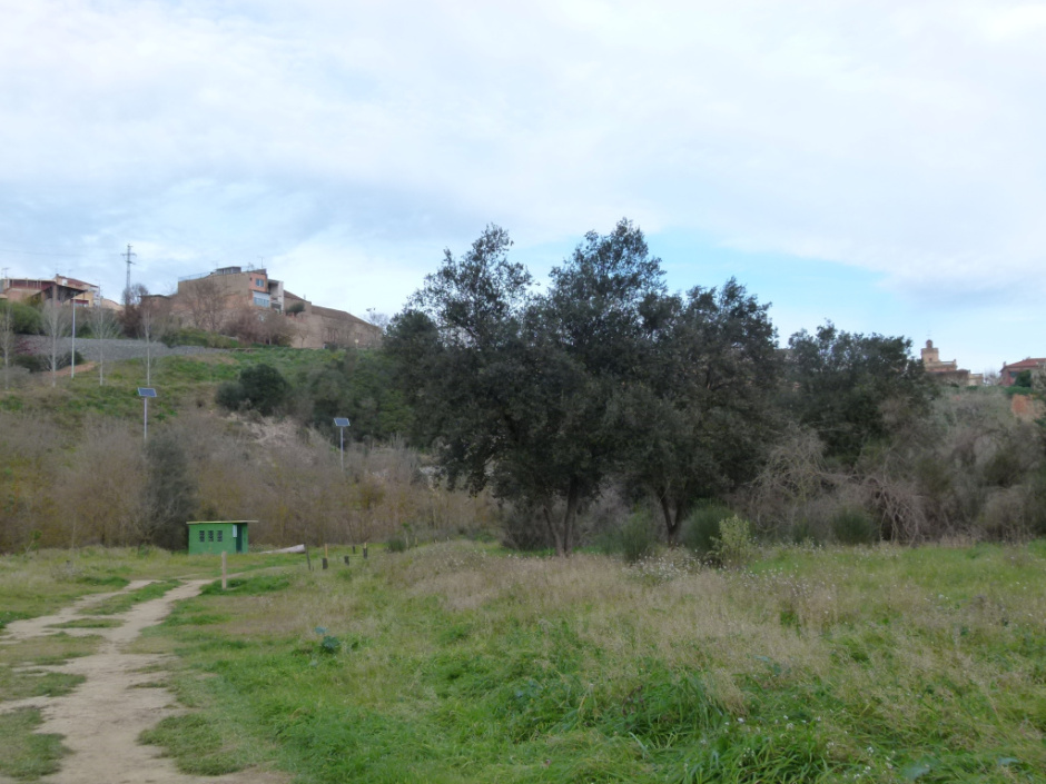 Riera de Lavernó - La Timba