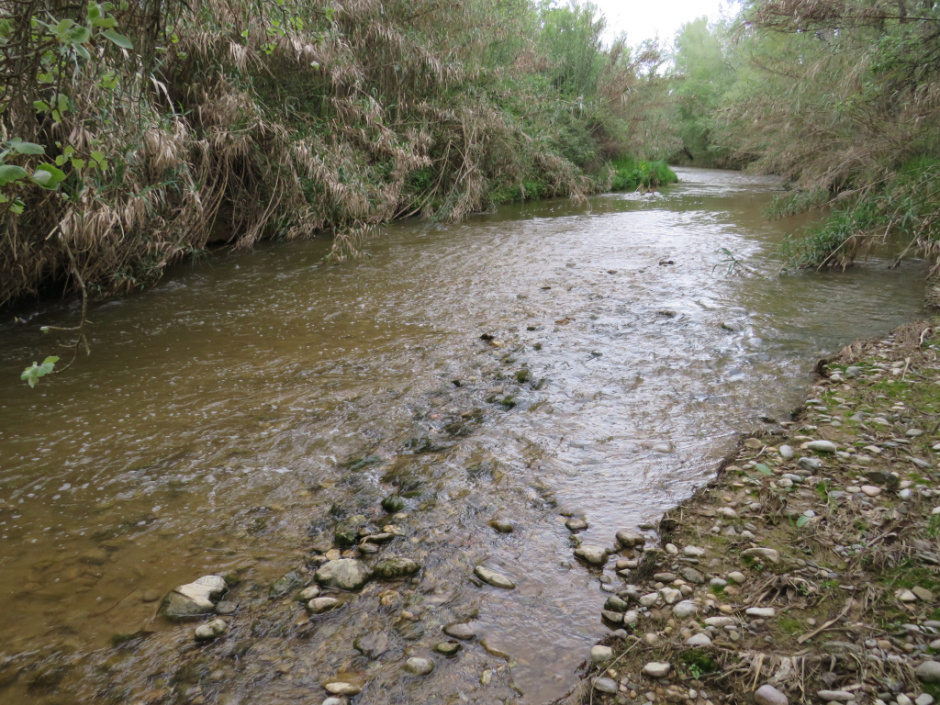 Riu Anoia. Can Codorniu