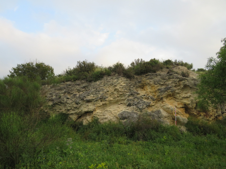 Jaciment paleontològic del Serralet