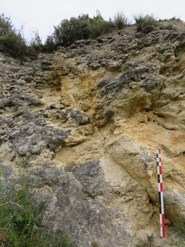 Jaciment paleontològic del Serralet